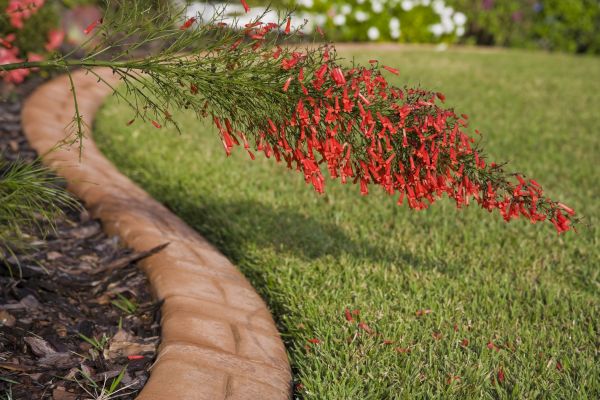 Brick Edging in Frederick