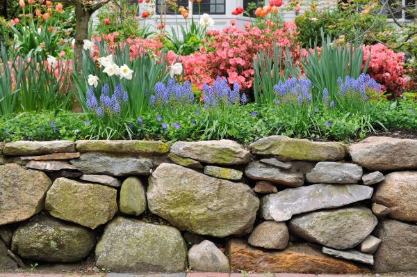 Stone Wall Hardscaping in Frederick