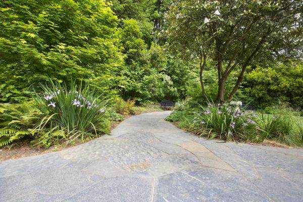 Stone Hardscape Service in Frederick